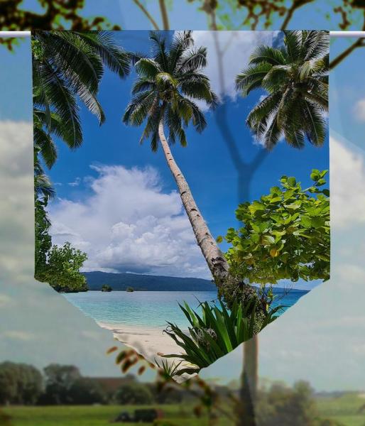 Triton Bay, Scheibenhänger spitz
